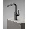 Pull-Out Kitchen Mixer- 002GM
