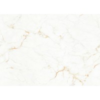 Big Marble Tiles TJ2625