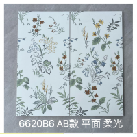 620B6