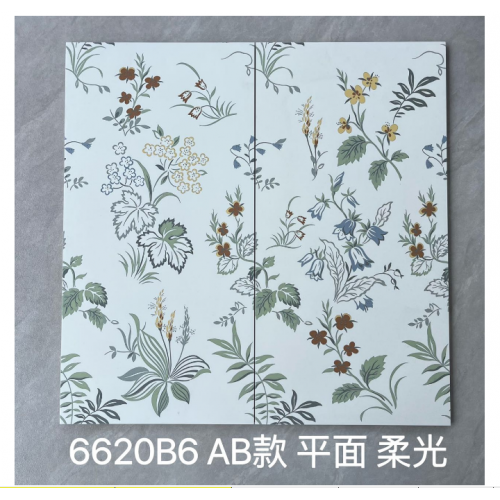 620B6