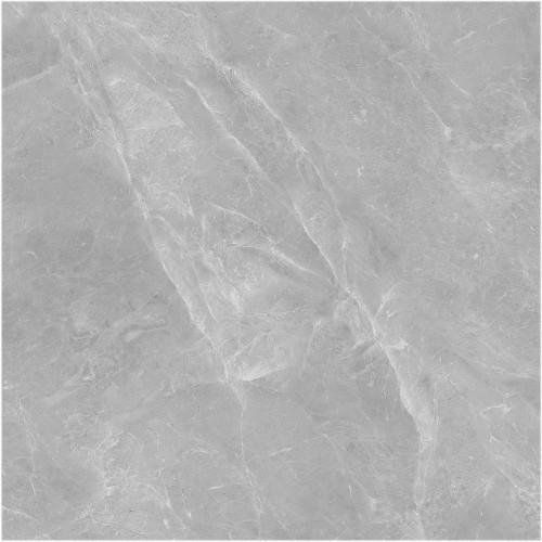 Kitty Grey  JZ6010915/DS6010915