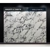 Big Marble Tiles ZS927Y102