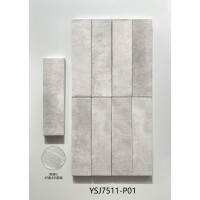 7511-P01