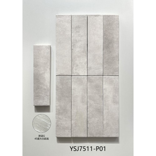 7511-P01