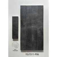 7511-P06
